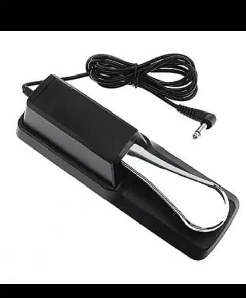 پدال پیانو|پیانو، کیبورد، آکاردئون|کیش, |دیوار