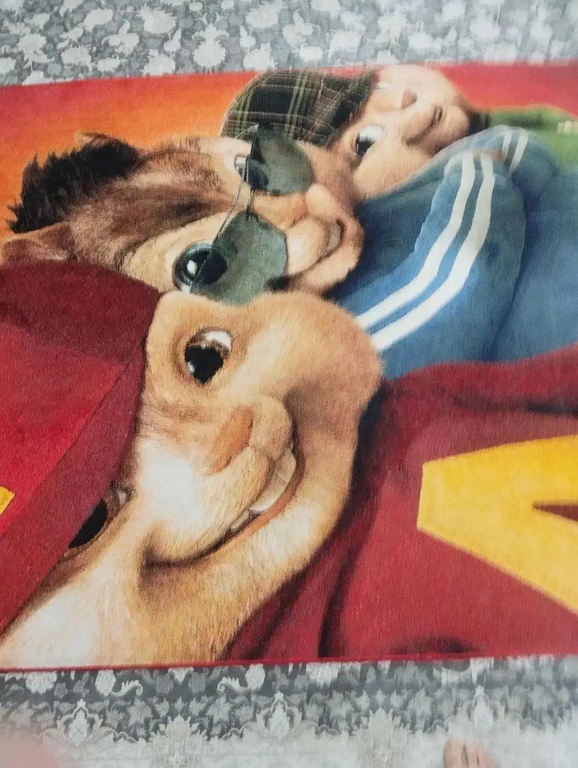 فرش|فرش|کرج, باغستان|دیوار