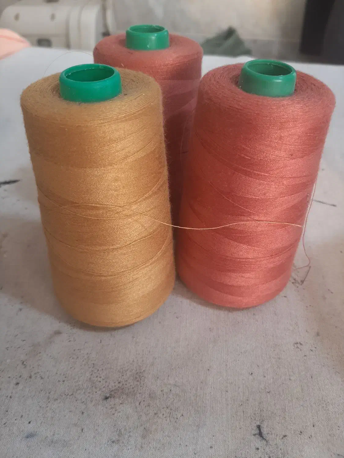 دوک خیاطی|لوازم خیاطی و بافتنی|پاکدشت, پاکدشت (مامازند)|دیوار