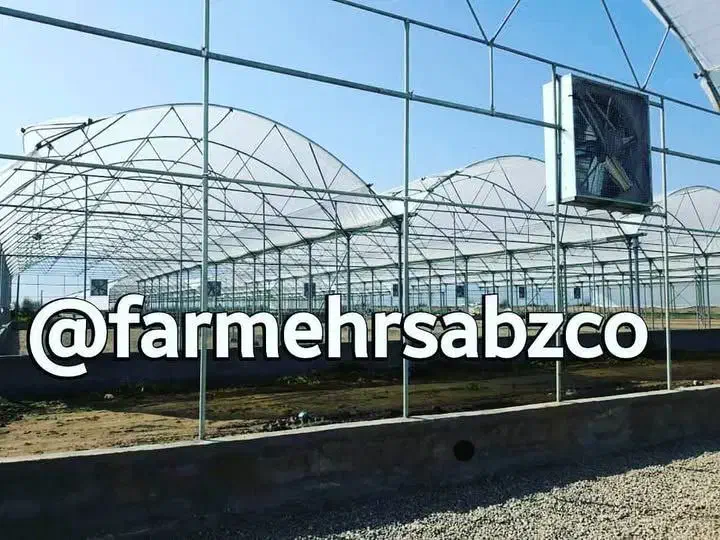 سازنده گلخانه های صنعتی و تامین نهاده های کشاورزی|خدمات باغبانی و درختکاری|کرج, فاز ۳ مهرشهر|دیوار