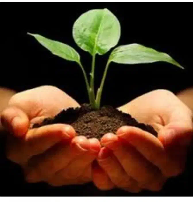 کود پوسیده دامی|خدمات باغبانی و درختکاری|نظرآباد, رسالت|دیوار