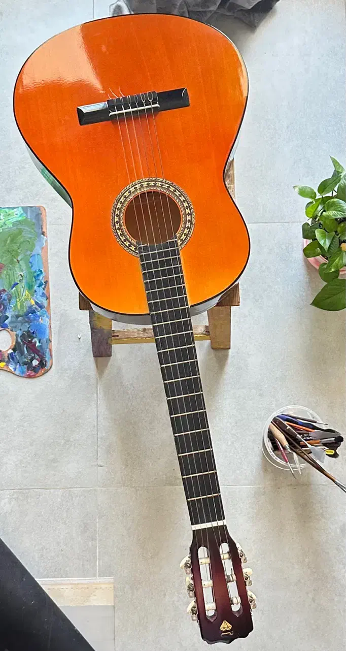 گیتار|گیتار، بیس، امپلیفایر|کیش, |دیوار