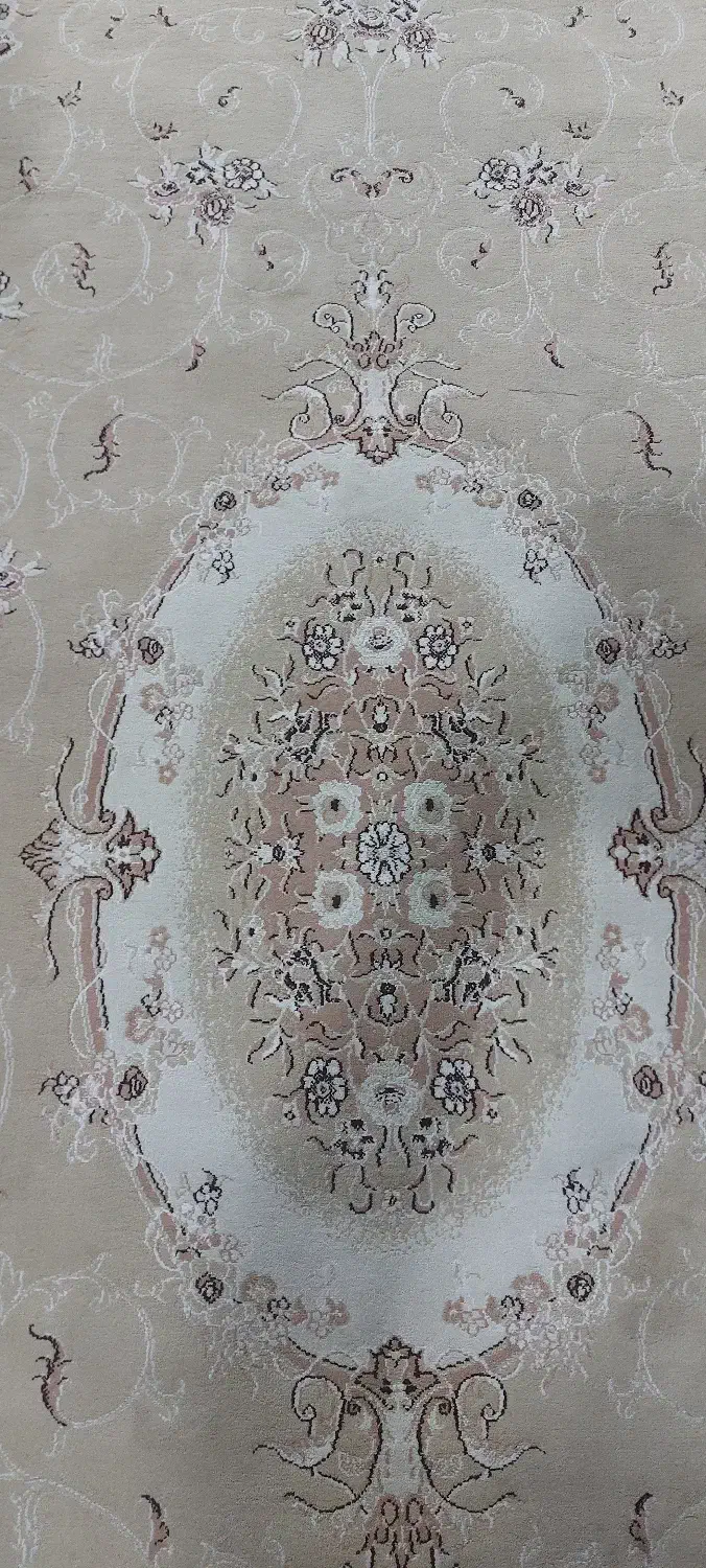 فرس ۶ متری|فرش|قائمشهر, |دیوار