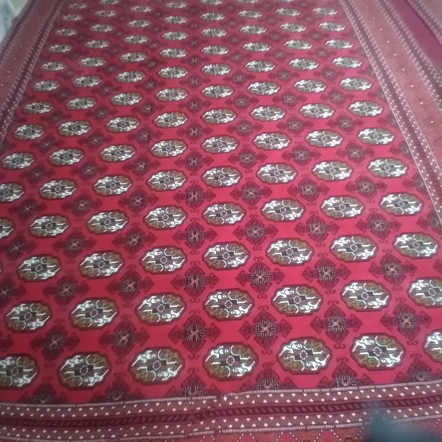 دوعدد گلیم قرمز نو|گلیم، جاجیم، گبه|مشهد, طبرسی شمالی|دیوار