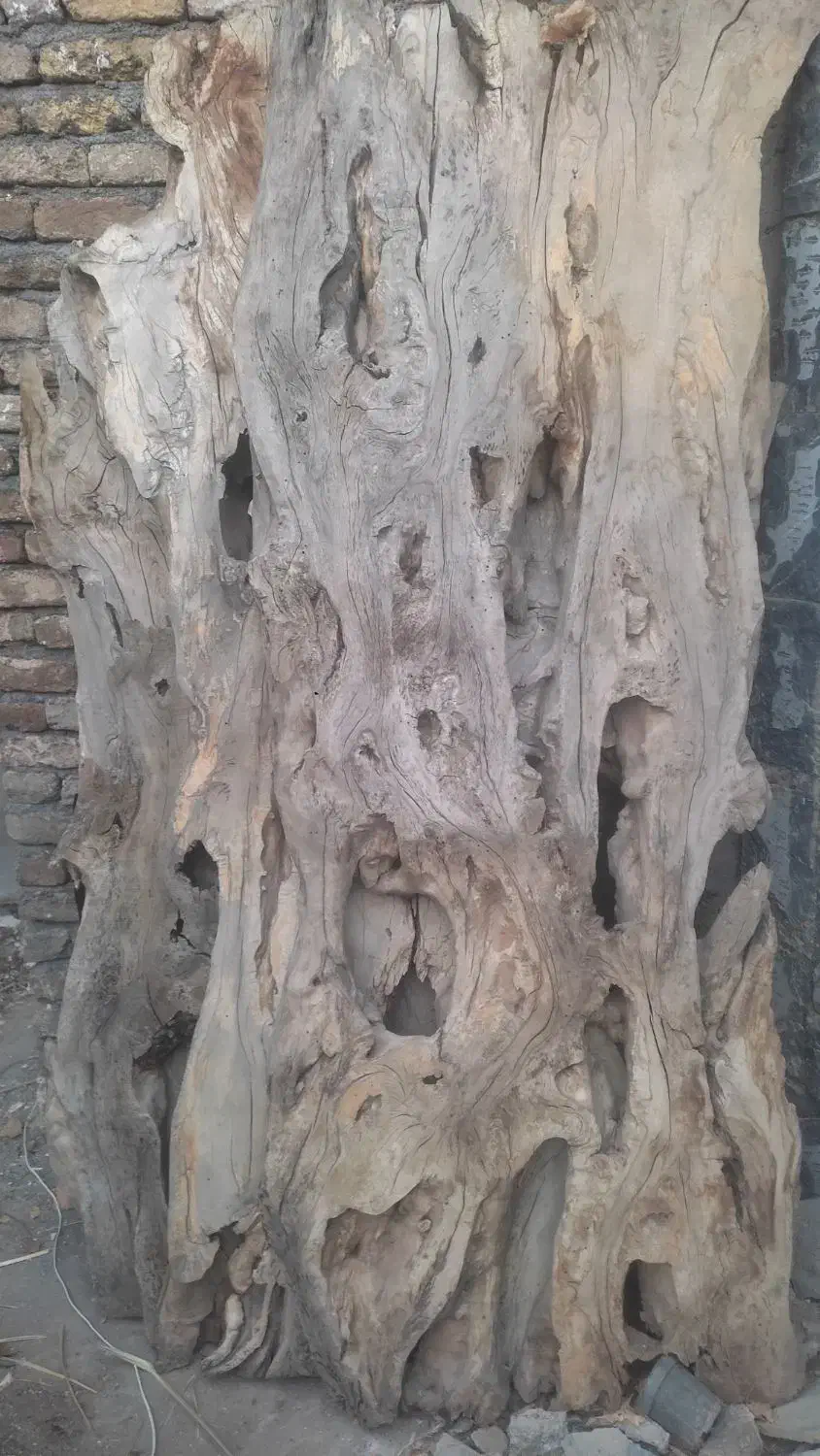 فروش چوب|مصالح و تجهیزات ساختمان|تویسرکان, |دیوار