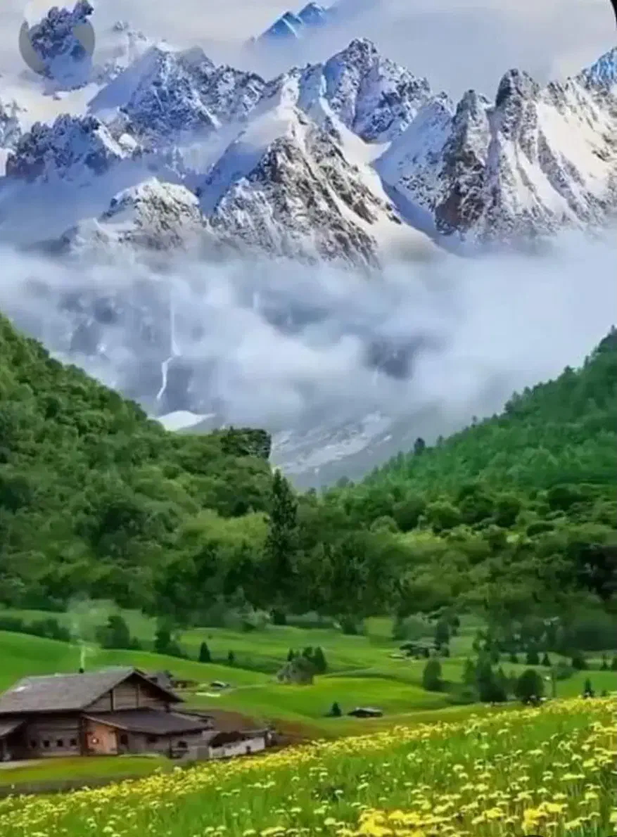 راهنمایی|فعالیت داوطلبانه|مهاباد (آذربایجان غربی), |دیوار