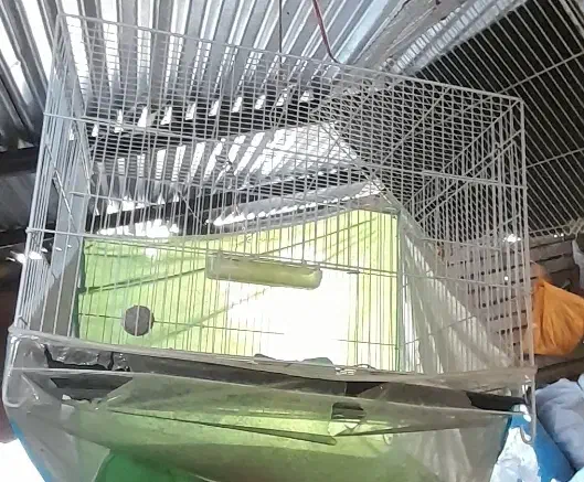 سه عدد قفس|لوازم جانبی حیوانات|مشهد, انصار|دیوار