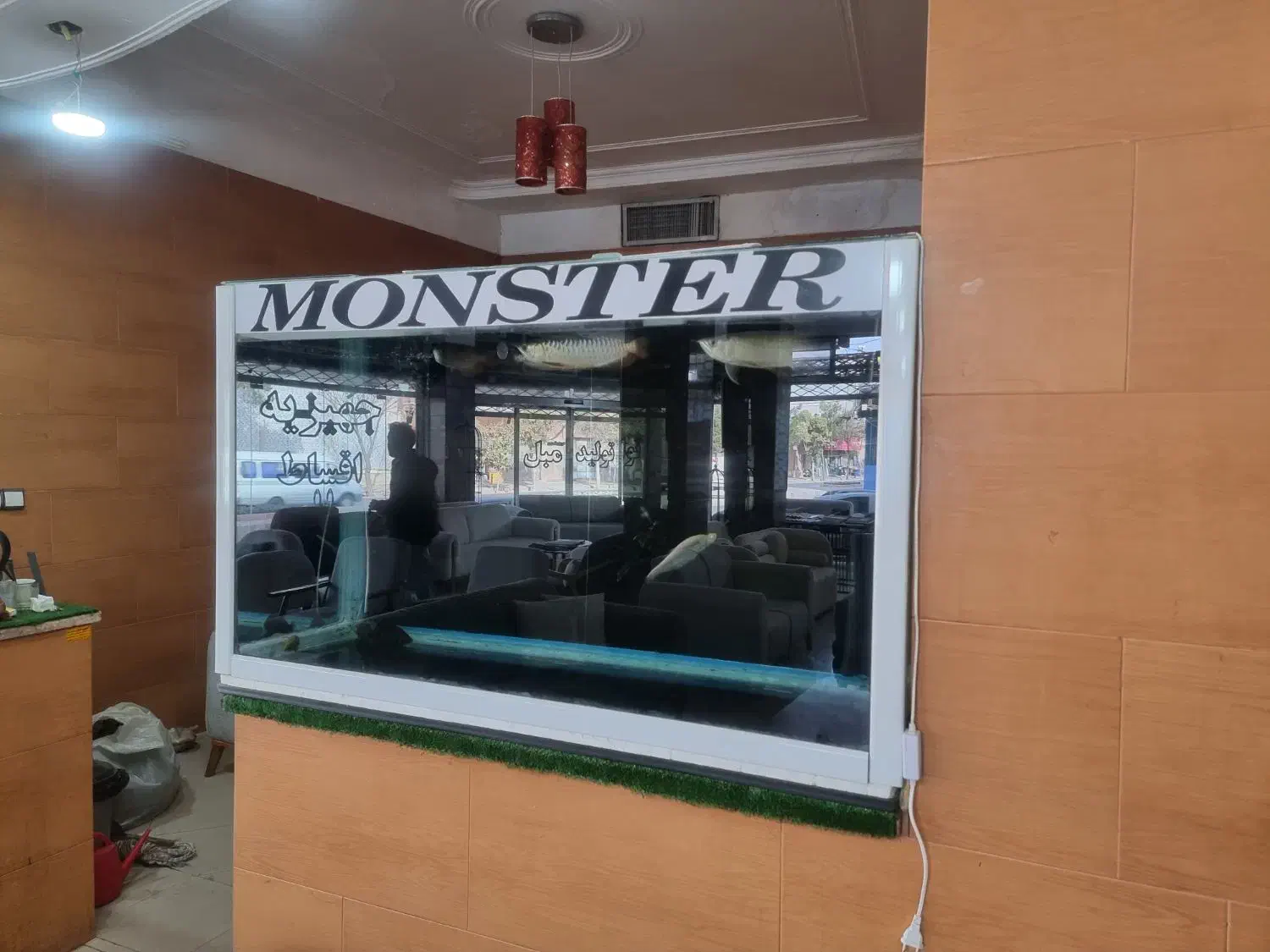 اکواریوم مانستر سفره ماهی|ماهی|کرمان, |دیوار
