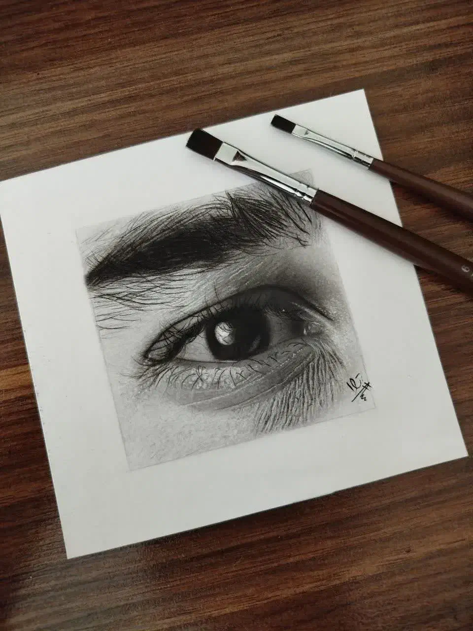 نقاشی|تابلو، نقاشی، عکس|پرند, فاز ۴|دیوار