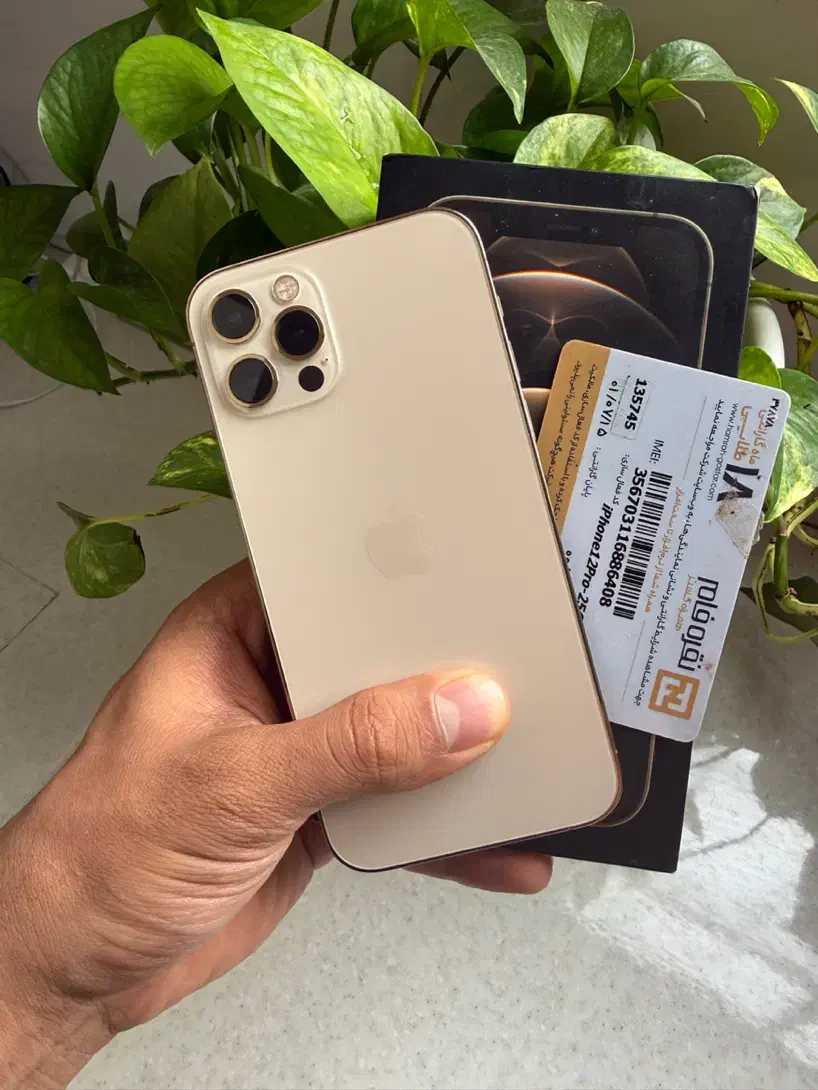 Iphone 12 Pro 256/Za|موبایل|دزفول, |دیوار
