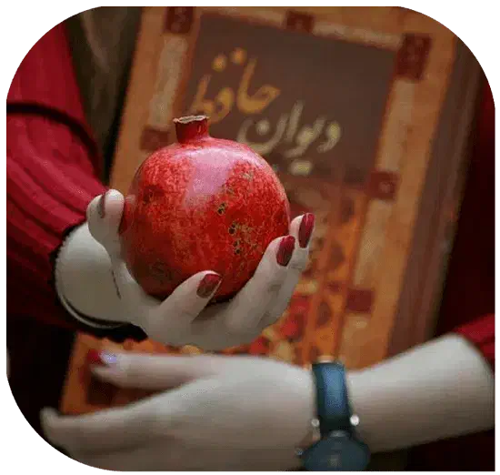 عکاسی یلدا و مجالس و فضای باز|خدمات پذیرایی، مراسم|مشهد, شریف|دیوار