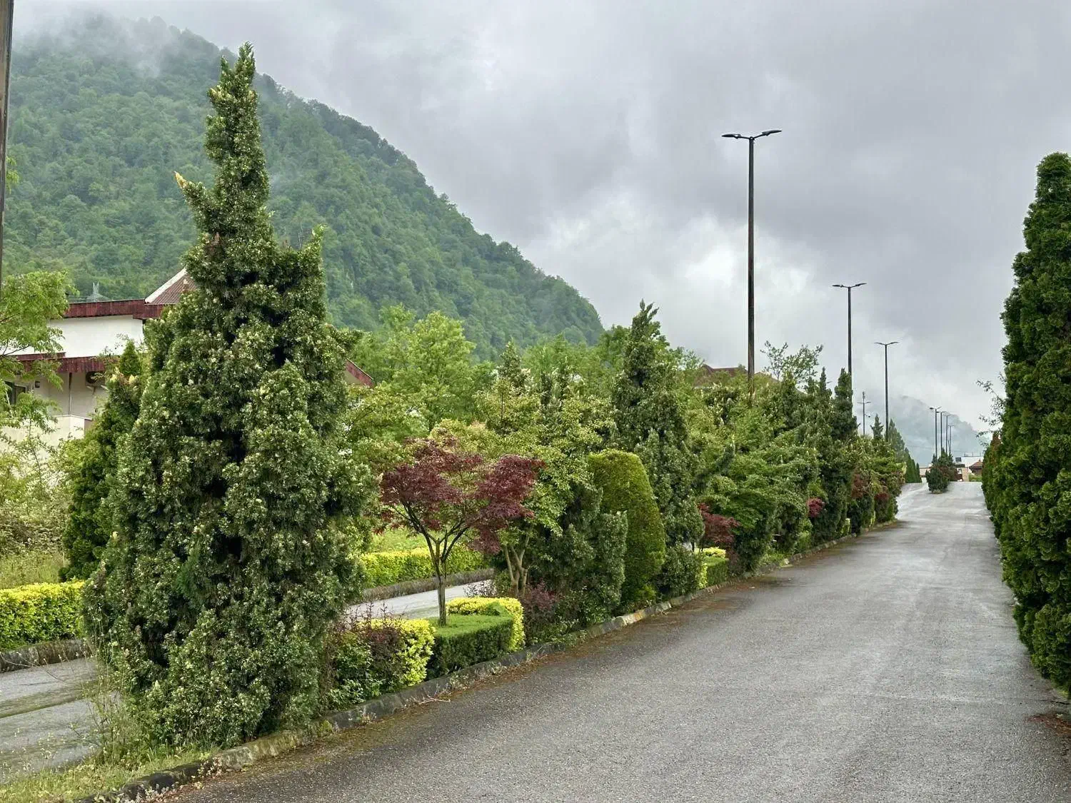 شهرک جدید مدرن ویلایی باسندتکبرگ ونگهبانی24ساعته|فروش زمین و ملک کلنگی|نشتارود, |دیوار