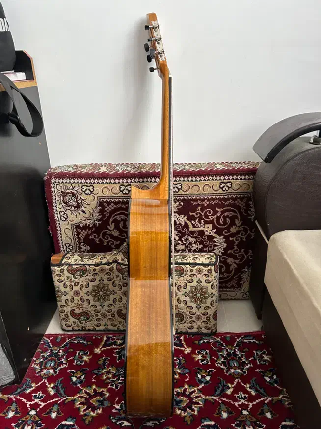 گیتار|گیتار، بیس، امپلیفایر|سنندج, |دیوار