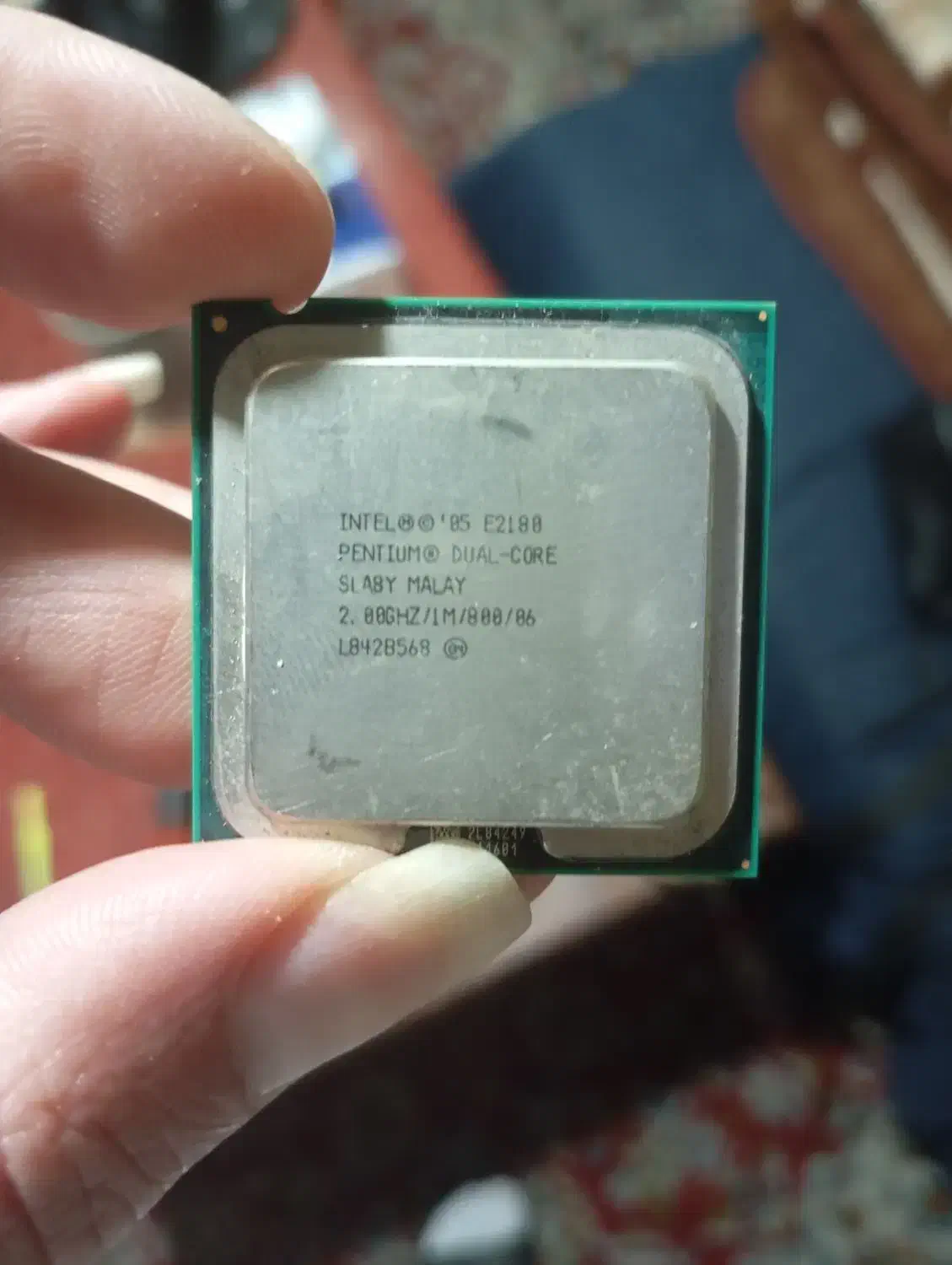 CPU INTEL|قطعات و لوازم جانبی رایانه|ساری, |دیوار