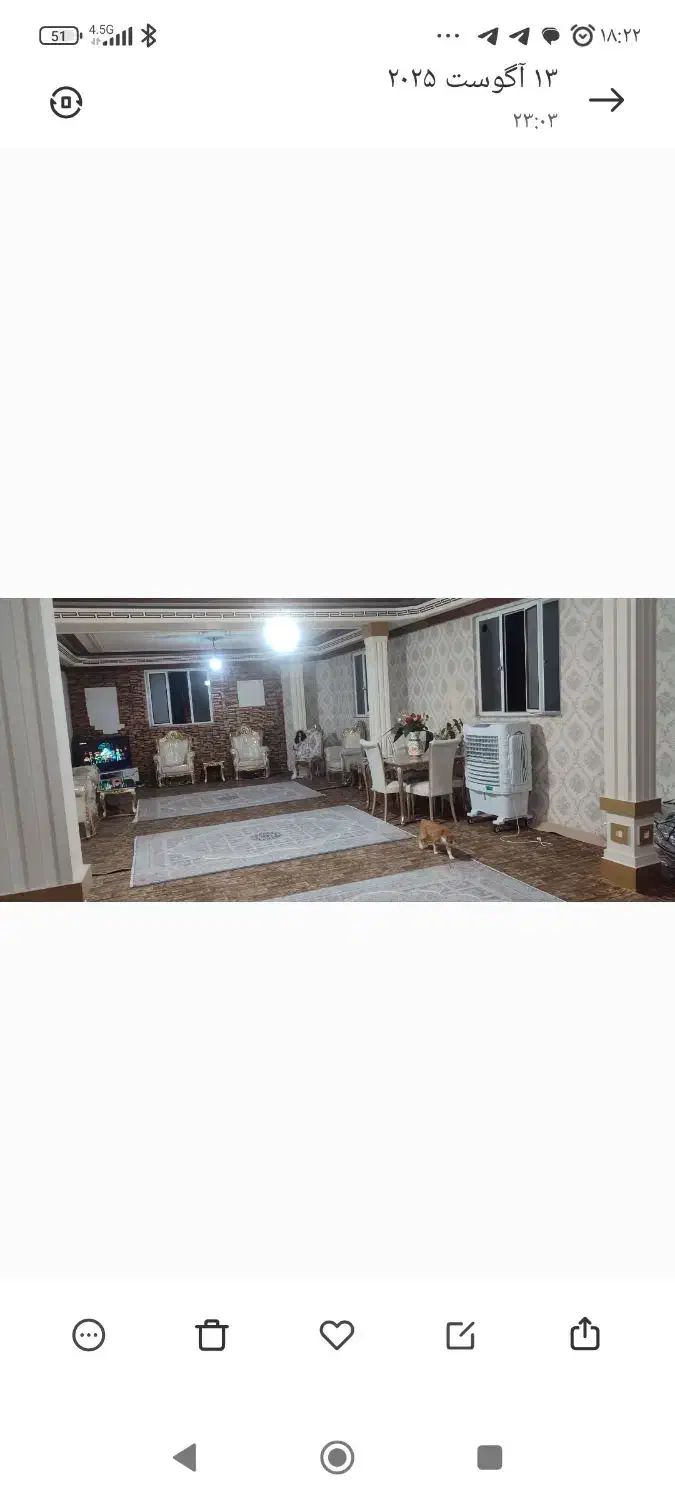 فرش شش متری|فرش|تبریز, |دیوار