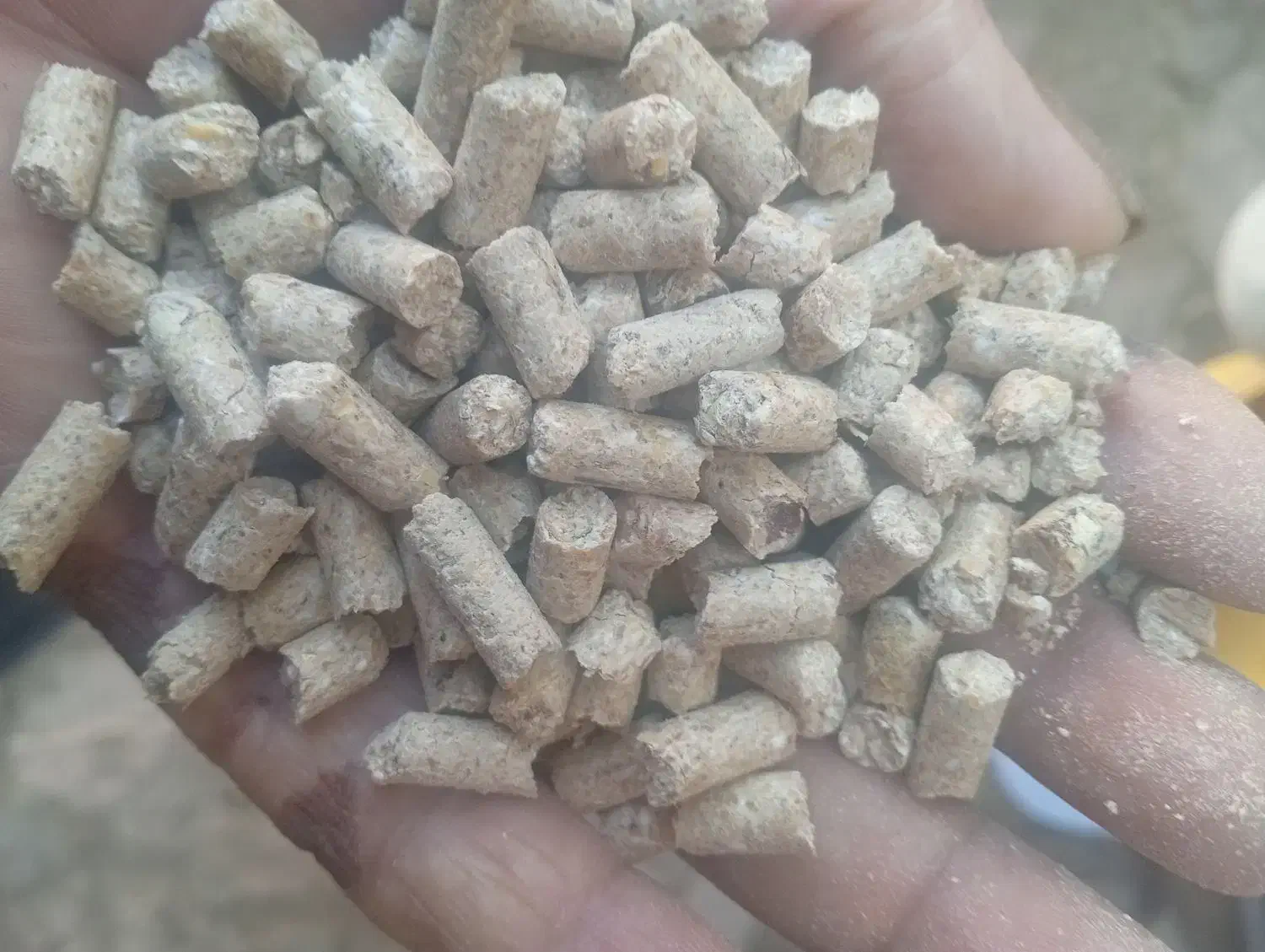 کنسانتره|لوازم جانبی حیوانات|روانسر, |دیوار