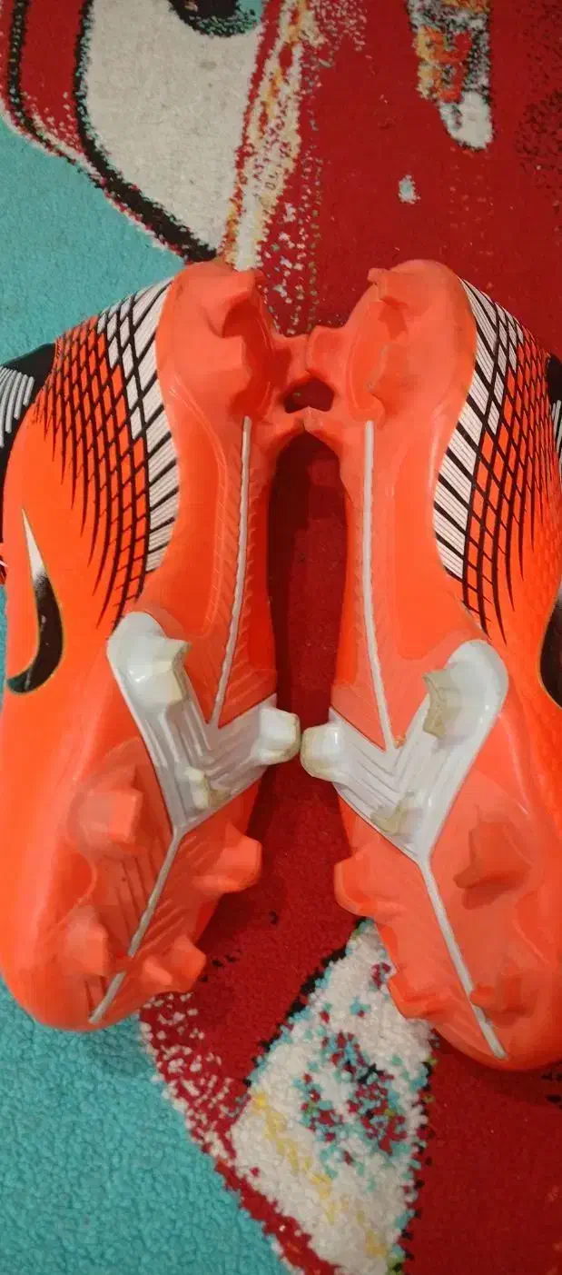 کفش استوک|کیف، کفش، کمربند|مسجد سلیمان, |دیوار