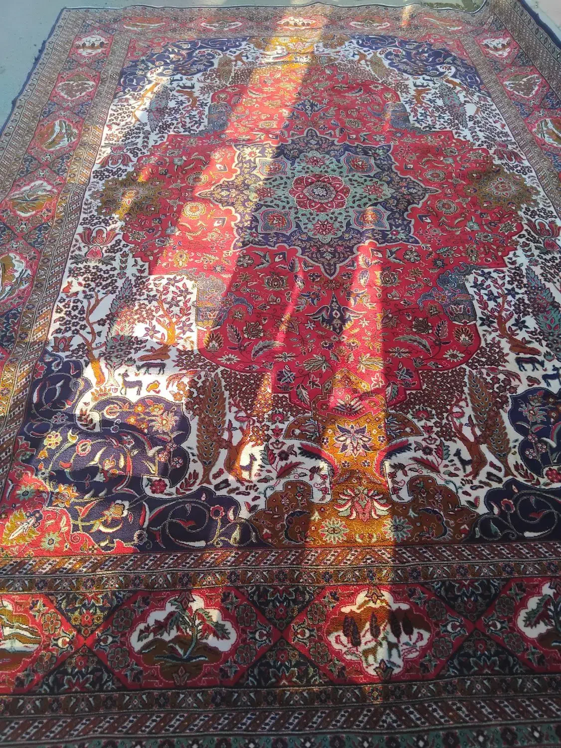 قالی ۳در ۴|فرش|دهگلان, |دیوار