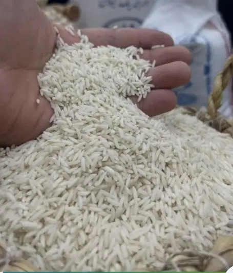 برنج هاشمی درجه ۱|خوردنی و آشامیدنی|تهران, استاد معین|دیوار