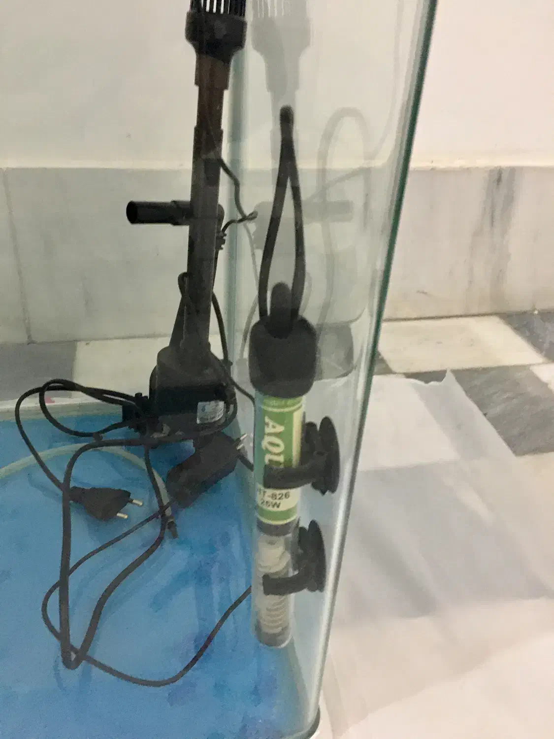 آکواریوم نو|ماهی|ساری, |دیوار