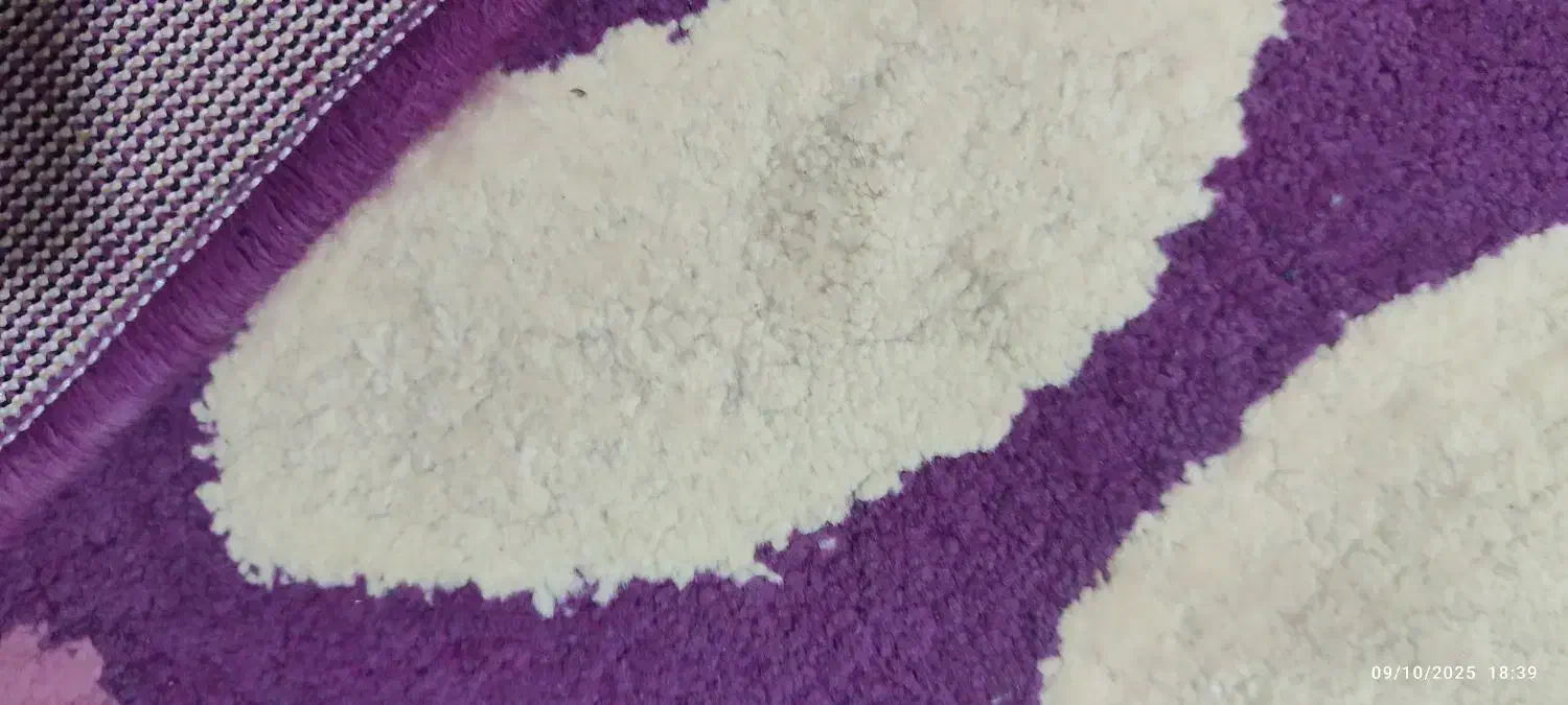 گلیم فرش6متری|فرش|خرمآباد, |دیوار