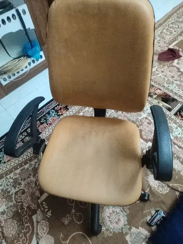 مبل ،صندلی،موکت ،قالی|فرش|مشهد, مشکینی (شهرک غرب)|دیوار