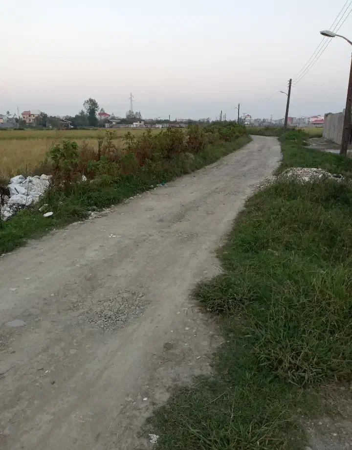 زمین نسقی|فروش زمین و ملک کلنگی|رشت, سیا اسطلخ|دیوار