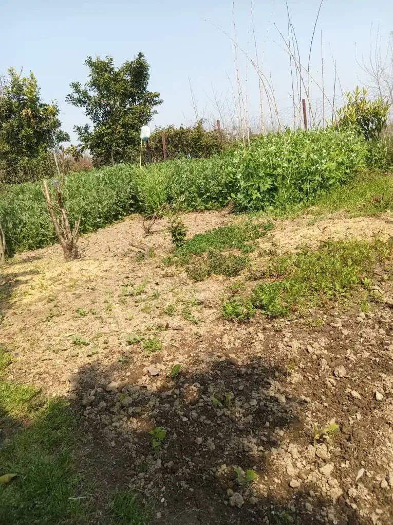 فروش خانه ویلایی در فومن، سند|فروش خانه و ویلا|فومن, |دیوار