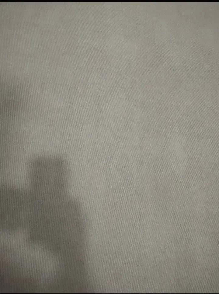 موکت نمایشگاهی ظریف مسور|موکت|تربت جام, امام|دیوار