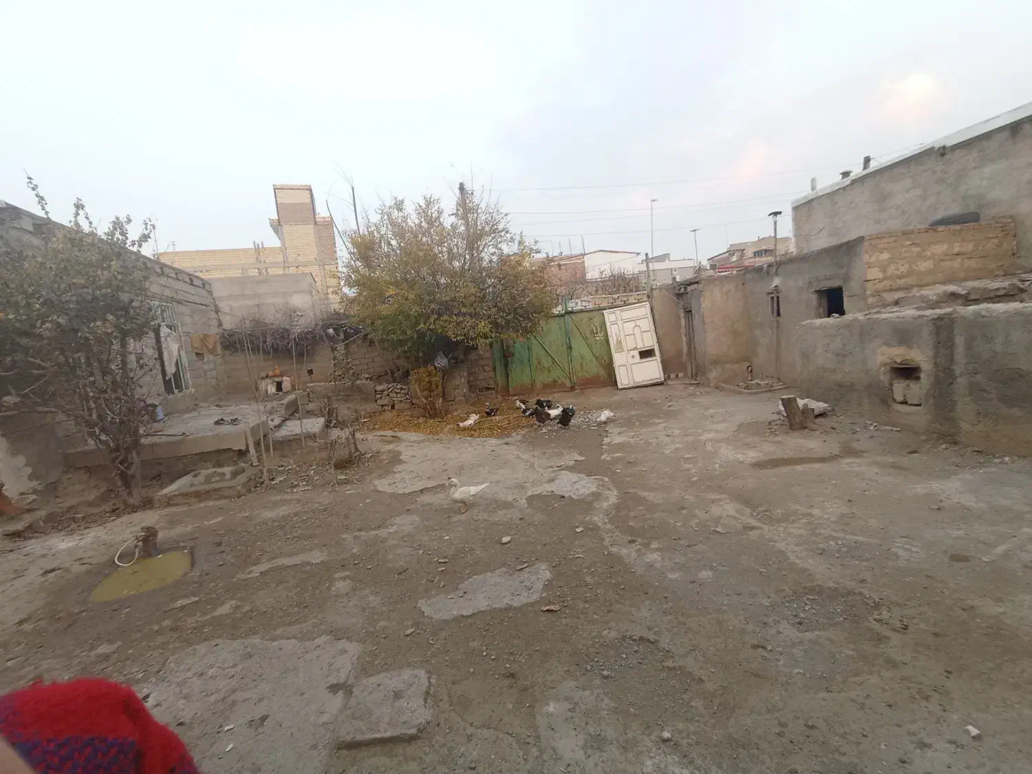 کلنگی|فروش زمین و ملک کلنگی|پارس‌آباد, |دیوار