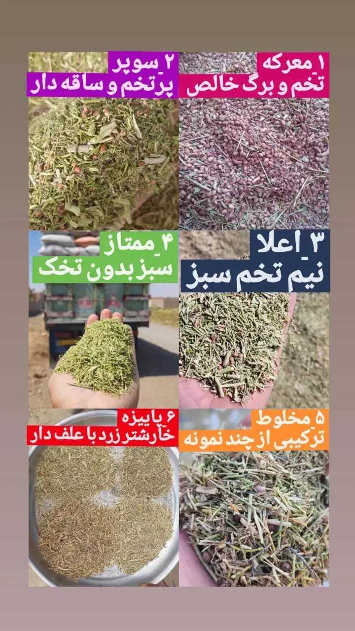 خرید و فروش کاه گندم جو و گندم یونجه ذرت خار|عمدهفروشی|مشهد, آبکوه|دیوار