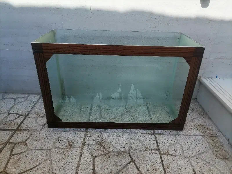 آکواریوم|ماهی|یزد, |دیوار