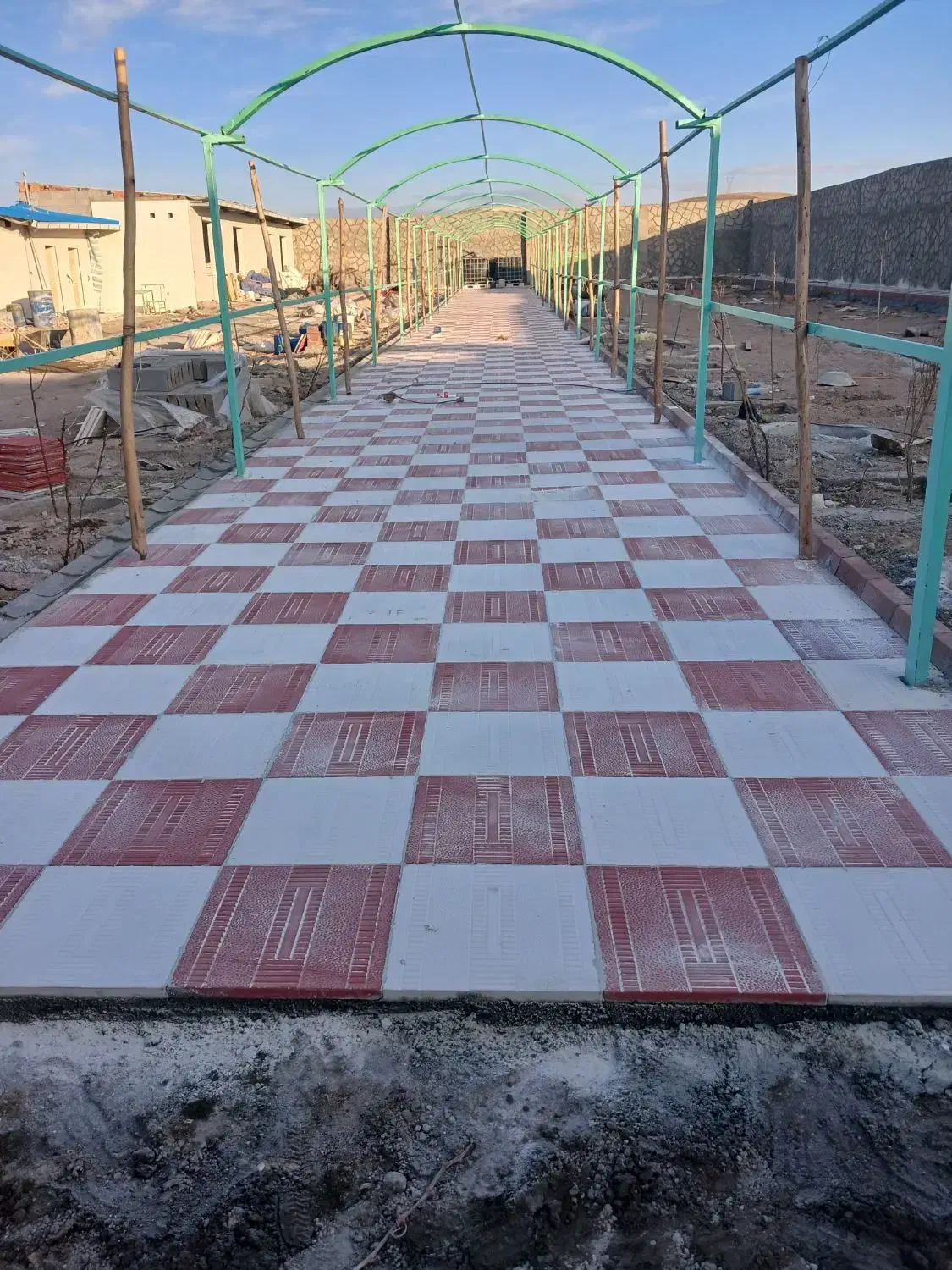 کاشی کاری و هرس کاری درختان|خدمات پیشه و مهارت|تبریز, |دیوار