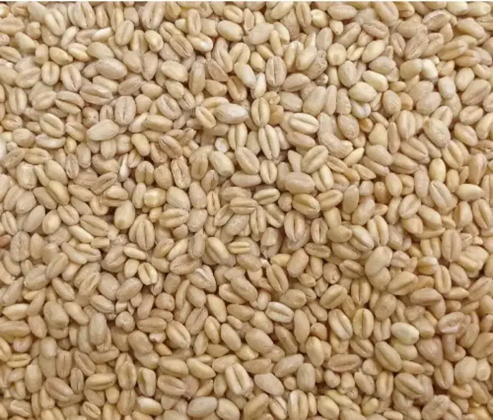 گندم|خوردنی و آشامیدنی|سبزوار, میدان بار|دیوار