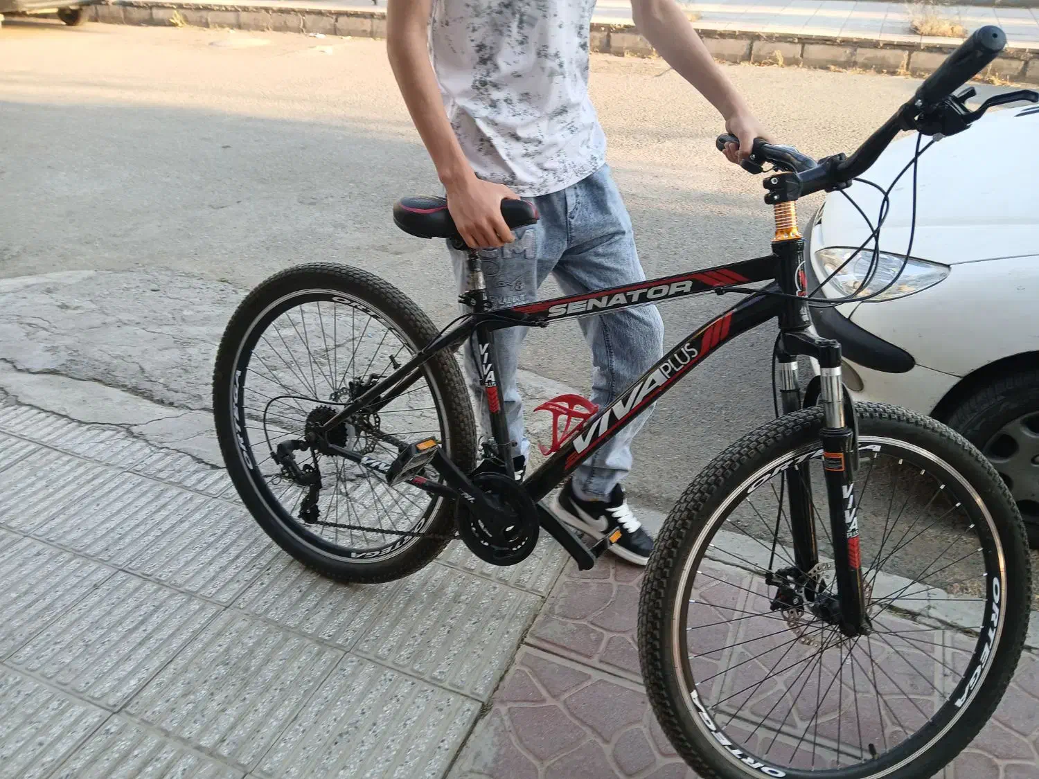 دوچرخه ویوا|دوچرخه، اسکیت، اسکوتر|پاکدشت, پاکدشت (مامازند)|دیوار