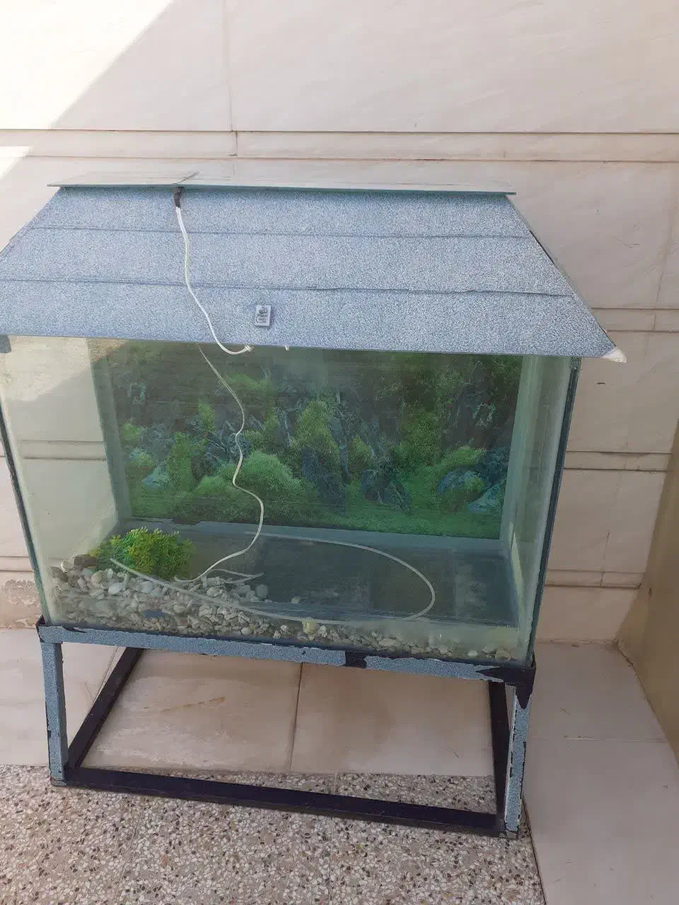 آکواریوم بزرگ به همراه چارپایه آهنی|ماهی|خرمآباد, |دیوار