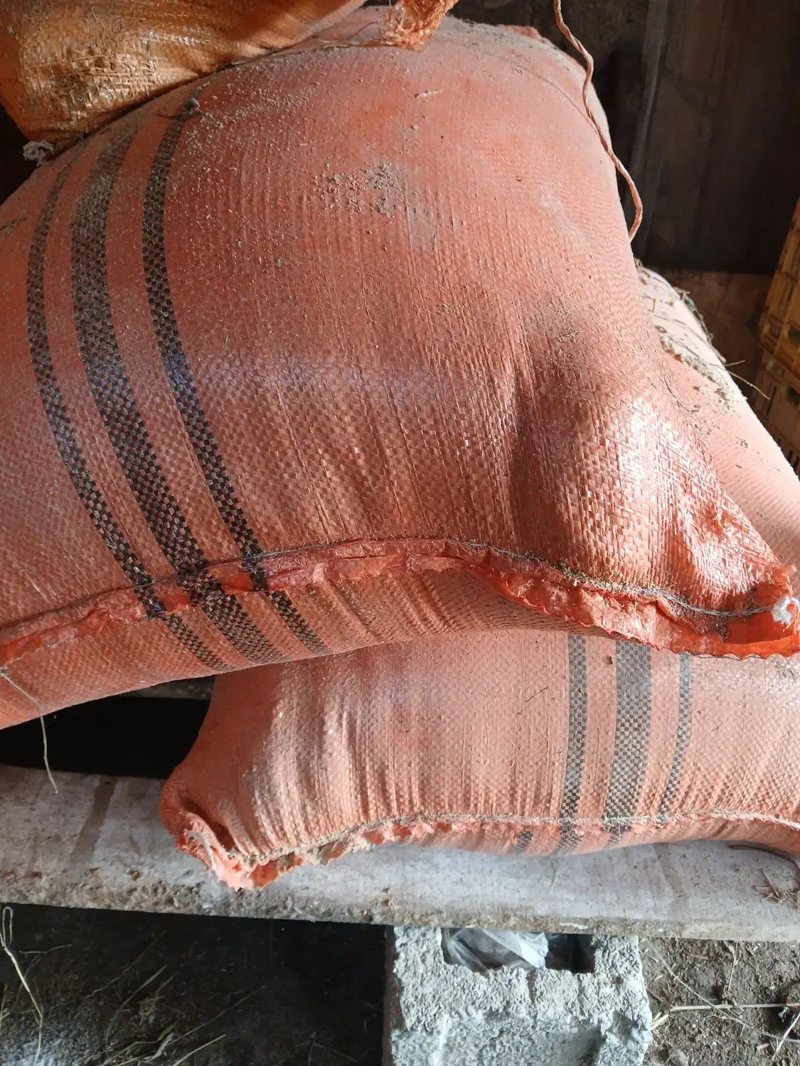 سبوس برنج|حیوانات مزرعه|اسالم, |دیوار