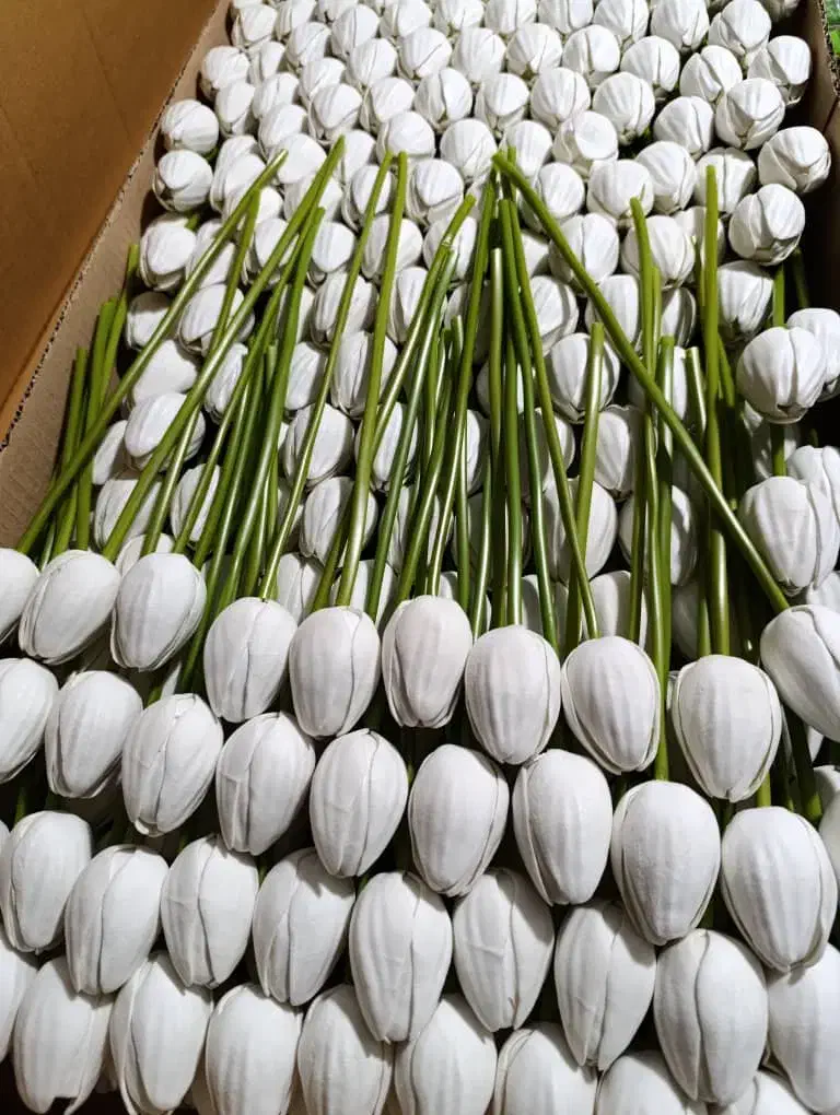 نیازمند ادمین|استخدام رایانه و فناوری اطلاعات|نقده, |دیوار