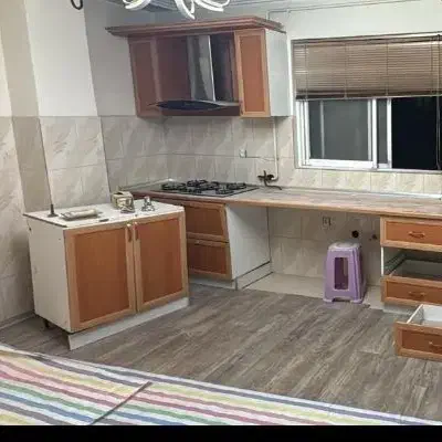 اپن|حراج|رشت, کاکتوس|دیوار