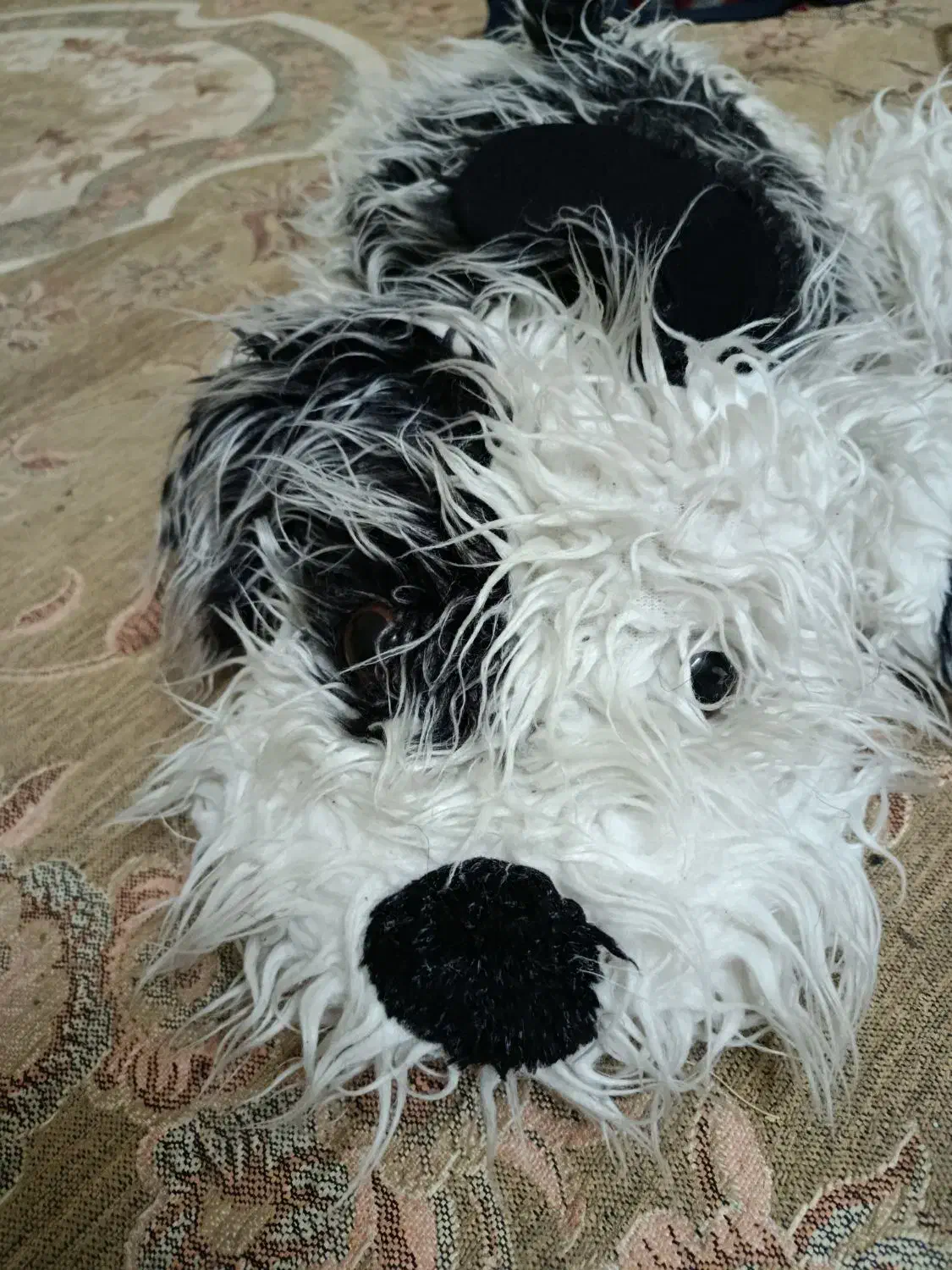 عروسک بزرگ سگ پولیشی|اسباب‌‌بازی|یزد, |دیوار