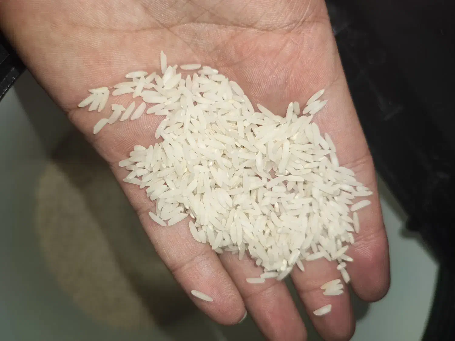 برنج طارم هاشمی بدون ریز|خوردنی و آشامیدنی|قائمشهر, |دیوار