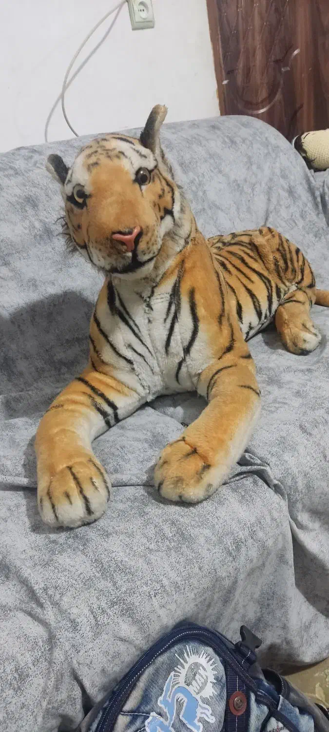 ببر بزرگ|اسباب‌‌بازی|شاهرود, |دیوار