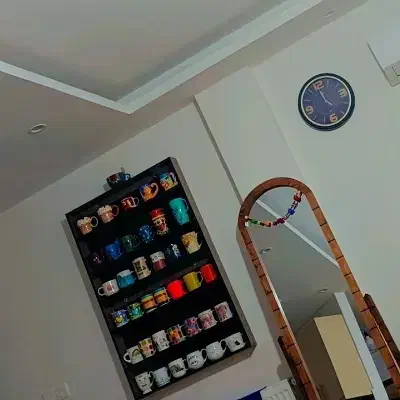 قفسه ، شلف ، جای ماگ ، استند ناخون|کتابخانه، شلف، قفسه‌های دیواری|رشت, کوی مهر|دیوار