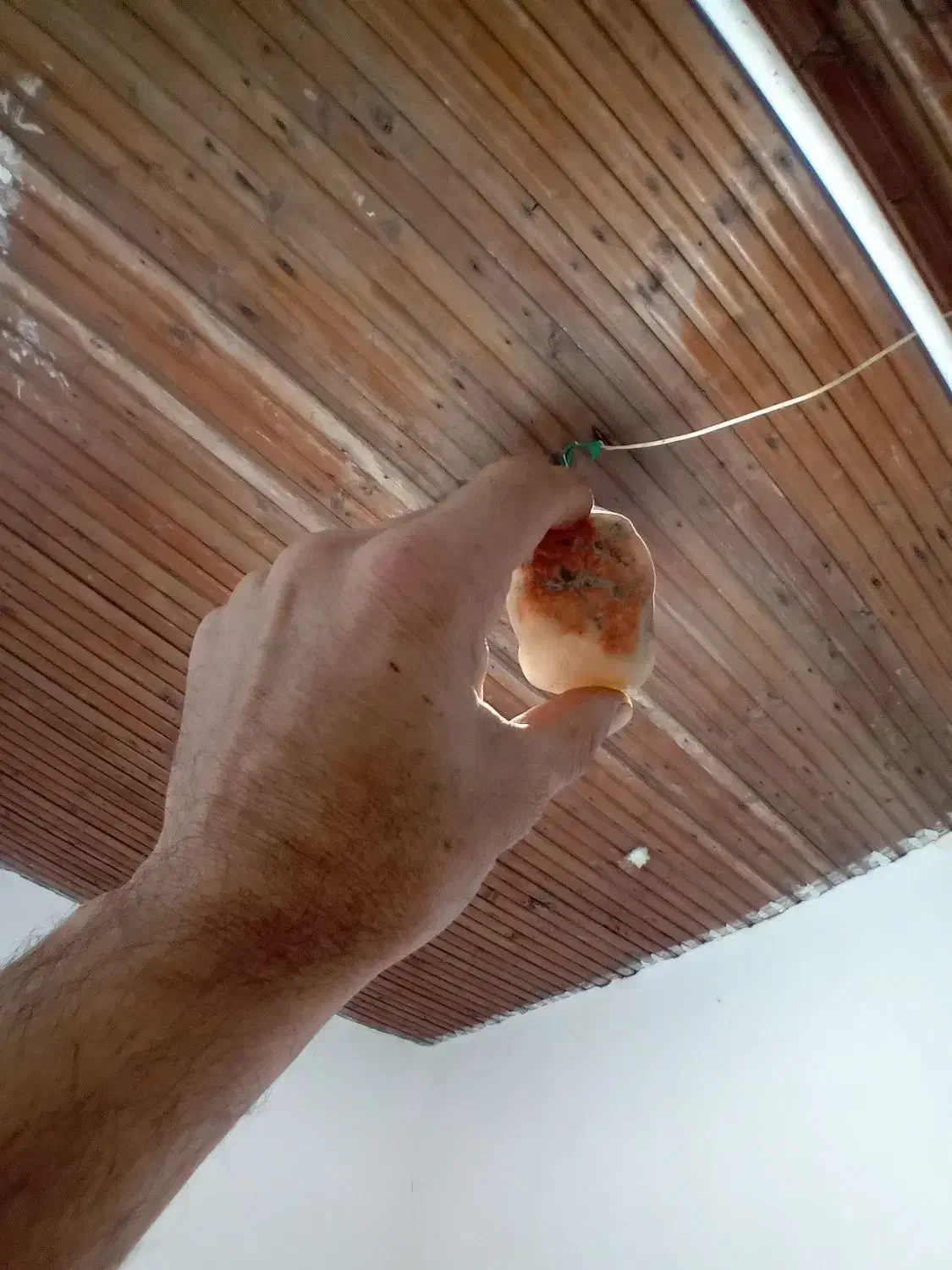 سنگهای باستانی خیلی دورتراز قرن ها|کلکسیون اشیاء عتیقه|رشت, فرودگاه سردار جنگل رشت|دیوار