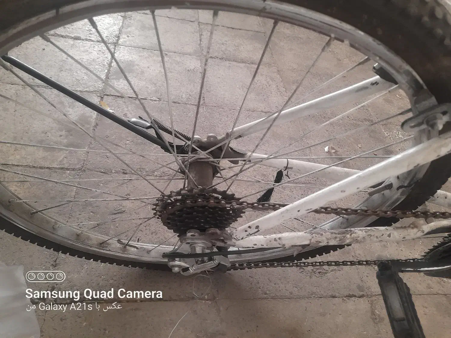 دوچرخه ۲۴|دوچرخه، اسکیت، اسکوتر|اندیشه, اندیشه فاز ۱|دیوار