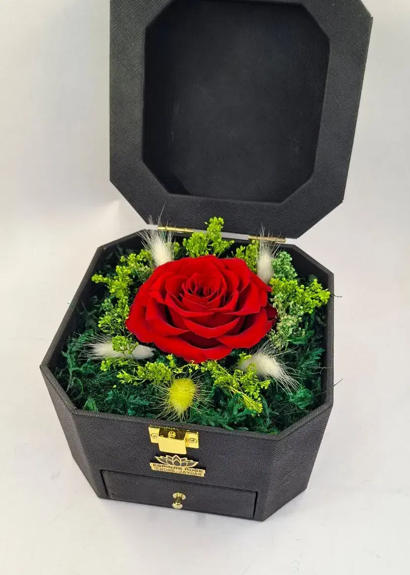 باکس گل رز جاودان هشت ضلعی چرمی کادو روز مادر|گل و گیاه طبیعی|تهران, میدان ولیعصر|دیوار