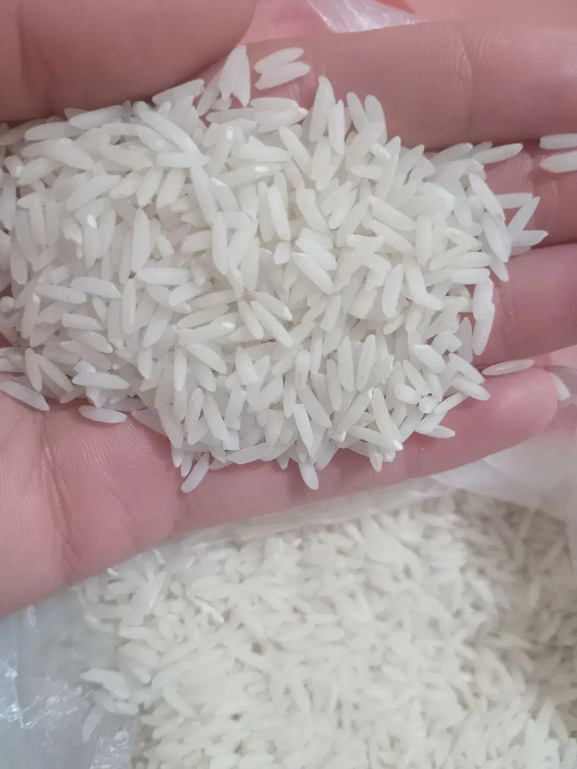 برنج هاشمی اعلا|خوردنی و آشامیدنی|رشت, گلسار|دیوار