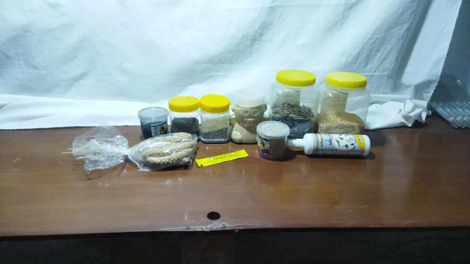 غذا و تشویقی عروس هلندی و طوطی و....|لوازم جانبی حیوانات|لالجین, |دیوار