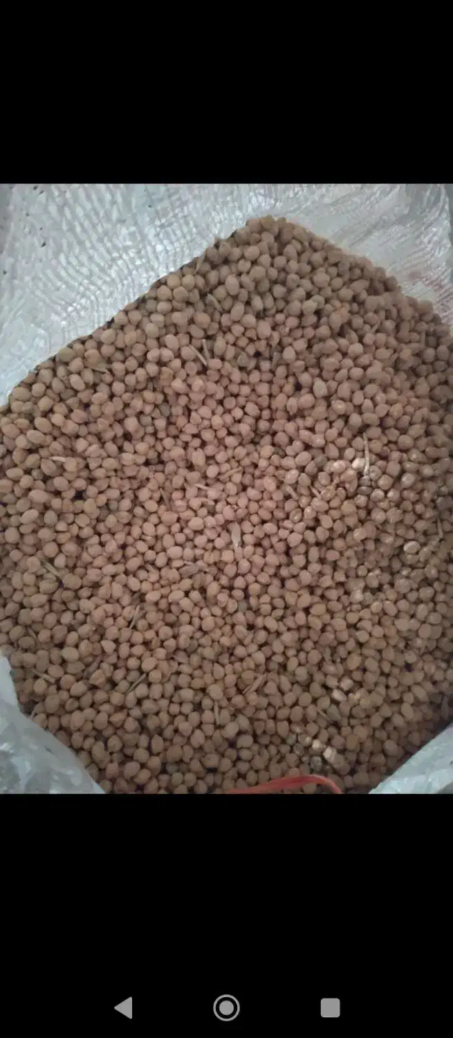 تمیز هستش|عمدهفروشی|معصومیه, |دیوار