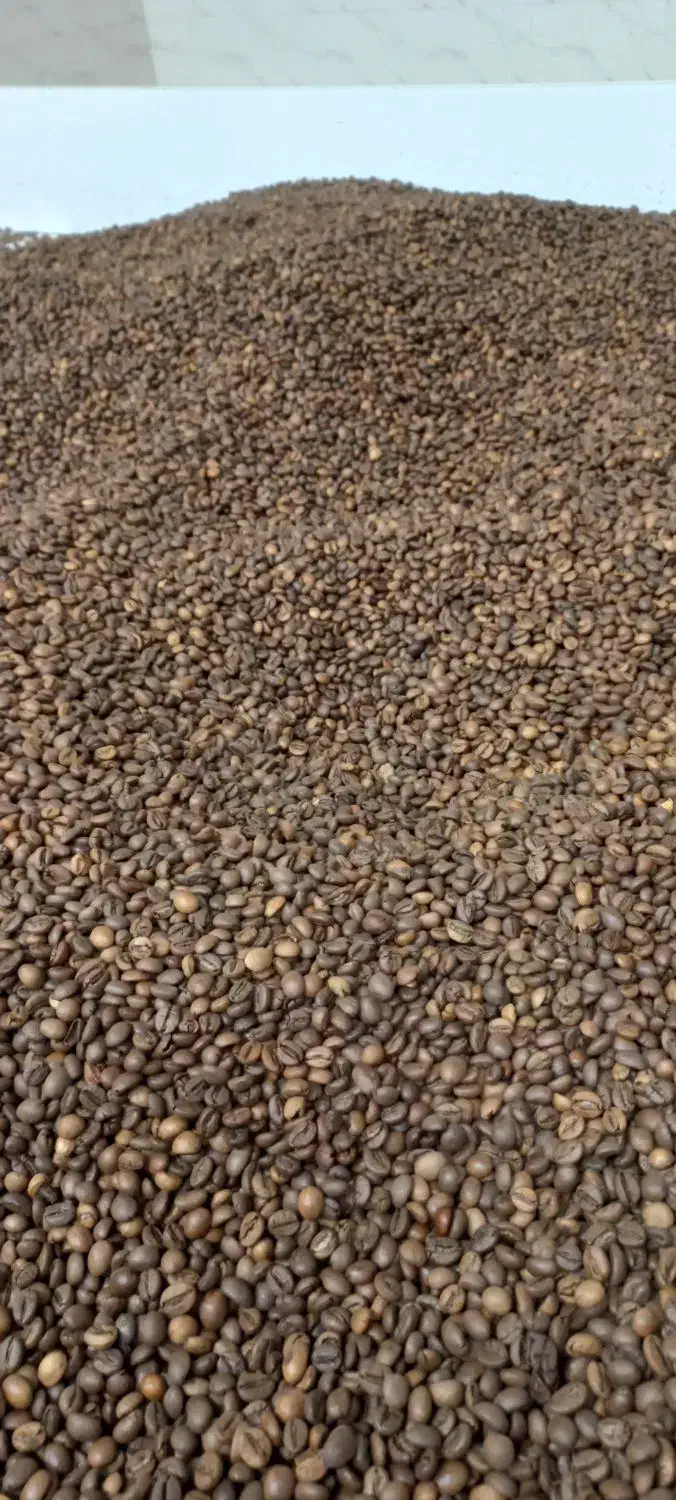 عرضه انواع دان قهوه|عمده‌فروشی|مشهد, باغ فراگرد|دیوار